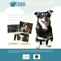 Dog Insight web site design